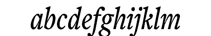 Freight Text Compressed Medium Italic FONT