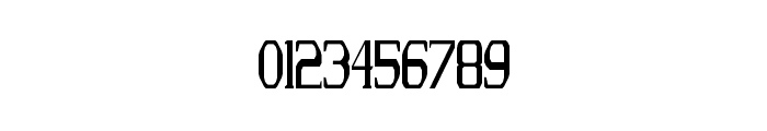 FS Serif Condensed Regular Font OTHER CHARS