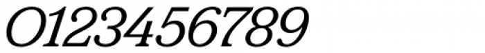 FS Split Serif Italic Font OTHER CHARS