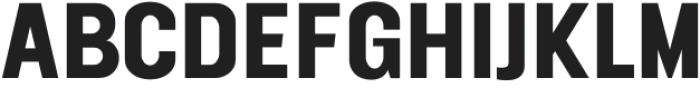 FT Neue Buddy Bold otf (700) Font