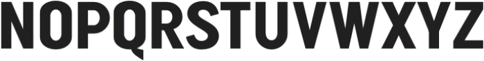 FT Neue Buddy Bold otf (700) Font UPPERCASE
