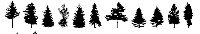 FT Hidden Forest Regular Font LOWERCASE