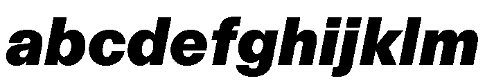 FTAktualUnlicensedTrial BlackItalic FONT