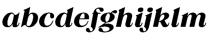 FTBrickDisplay BlackItalic FONT