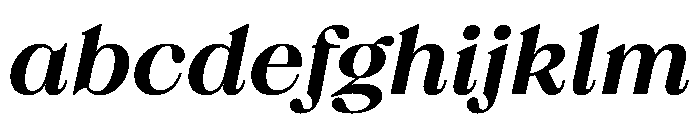 FTBrickDisplay MediumItalic FONT