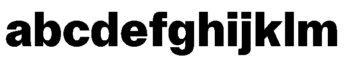 FTKunstGroteskUnlicensedTrial Black FONT