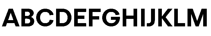 FTRegolaNeueUnlicensedTrial Bold Font UPPERCASE