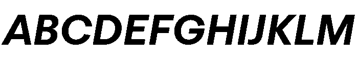 FTRegolaNeueUnlicensedTrial BoldItalic Font UPPERCASE