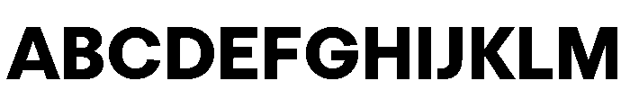 FTRegolaNeueUnlicensedTrial Heavy Font UPPERCASE