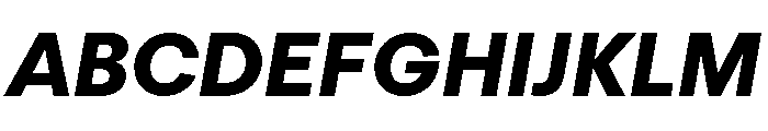FTRegolaNeueUnlicensedTrial HeavyItalic Font UPPERCASE
