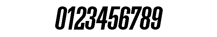 FTSupplementUnlicensedTrial RegularSemiItalic Font OTHER CHARS
