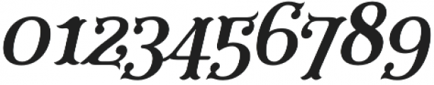 Furius Regular Italic otf (400) Font OTHER CHARS