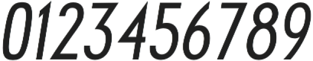 Futuriste Bold Oblique otf (700) Font OTHER CHARS