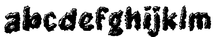 Funga FONT