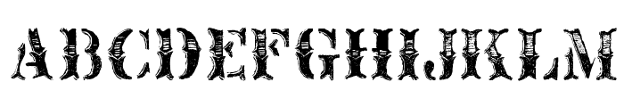 Fusty Saddle Font UPPERCASE