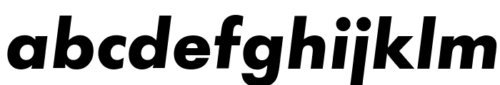 Function-Bold-Italic Font LOWERCASE