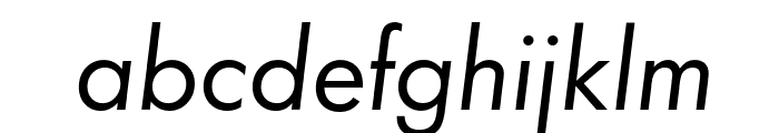 Function-BookItalic Font LOWERCASE