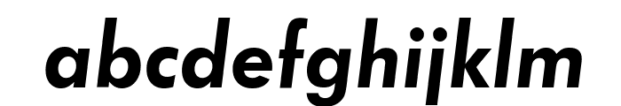 Function-DemiItalic Font LOWERCASE