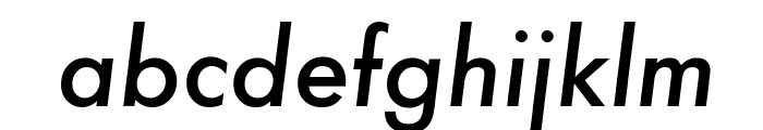 Function-Medium-Italic Font LOWERCASE