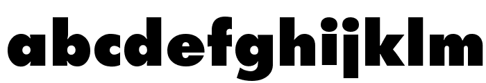 Function-Xbold-Regular Font LOWERCASE