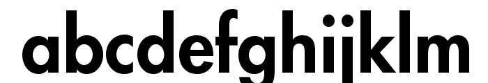 FuturaStd-Heavy Font LOWERCASE
