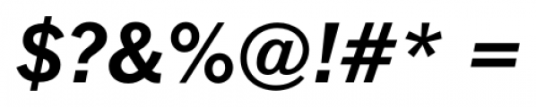 FullerSansDT Bold Italic Font OTHER CHARS