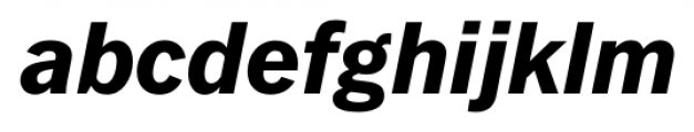 FullerSansDT ExtraBold Italic Font LOWERCASE