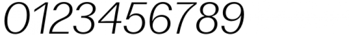 Fujiwara A Regular Italic Font OTHER CHARS
