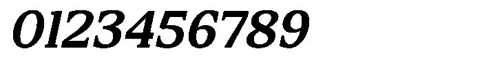 FX Njungkel Semi Bold Italic Font OTHER CHARS