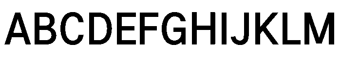 G2Erika Bold Font UPPERCASE