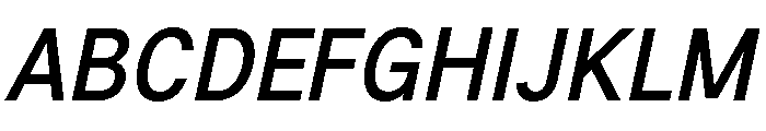 G2Erika BoldItalic Font UPPERCASE