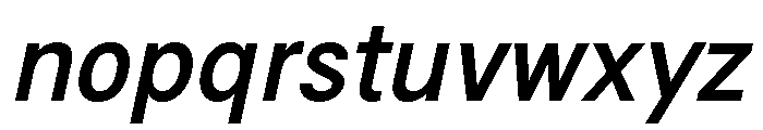 G2Erika BoldItalic Font LOWERCASE