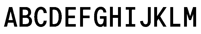 G2ErikaMono Bold Font UPPERCASE