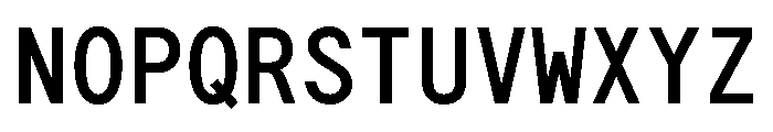 G2ErikaMono Bold Font UPPERCASE