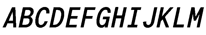 G2ErikaMono BoldItalic Font UPPERCASE