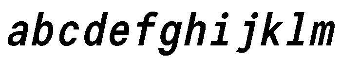 G2ErikaMono BoldItalic FONT