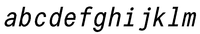 G2ErikaMono MediumItalic FONT