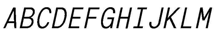 G2ErikaMono RegularItalic Font UPPERCASE