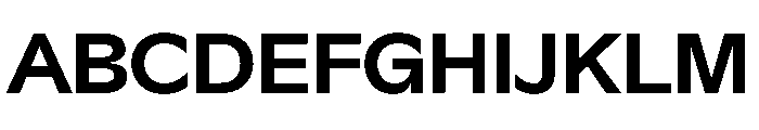 G2TGR Bold Font UPPERCASE