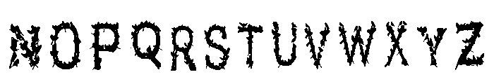 Gafeb Regular Font LOWERCASE