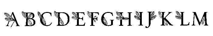Gary Regular FONT
