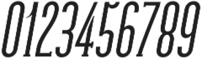 Galvin Light Italic otf (300) Font OTHER CHARS