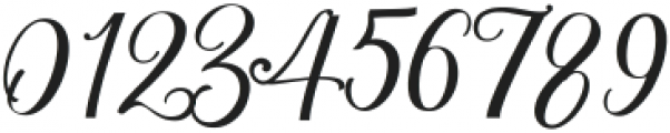 Garnita Script Regular ttf (400) Font OTHER CHARS