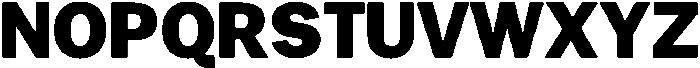 Gavion Variable Black ttf (900) Font UPPERCASE