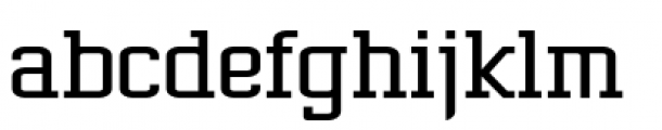 Gasoline Serif BTN Light Font LOWERCASE