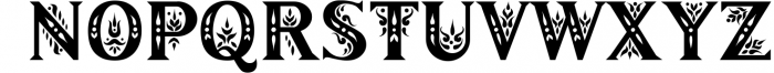 Gardenia - Serif Font Family 1 Font UPPERCASE
