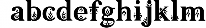 Gardenia - Serif Font Family Font LOWERCASE