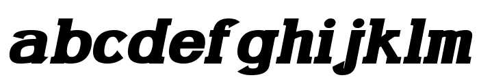 Gabriel Serif Bold Italic Font LOWERCASE