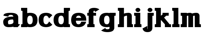 Gabriel Serif Bold Font LOWERCASE