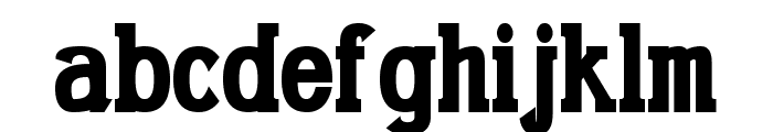 Gabriel Serif Condensed Bold Font LOWERCASE